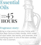 Candle - lite Essential Elements Scented Candles, Eucalyptus &amp; Mint Leaf, 14.75 oz Jar, Proudly Poured in The USA, Aromatherapy, 3 - Wick with 45 Hours Burn Time, Perfect for Creating a Relaxing Ambiance - Homesidy.com