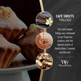 https://m.media-amazon.com/images/I/81pF8lP7LKL._AC_SL1500_.jpg