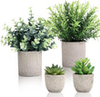 CEWOR 4 Pack Small Fake Plants Eucalyptus Rosemary Succulents Plants Artificial in Pots for Shelf Artificial Greenery Eucalyptus Plant Indoor for Home Bedroom Living Room Decoration - Homesidy.com