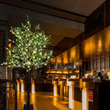 LKGOOD Artificial Lighted Olive Tree 6FT Tall Faux Silk Light Up Plant Trees(with Switch Button) for Home Office Decor Indoor with 300 Warm White Fairy Lights and Lifelike Leaves - Homesidy.com