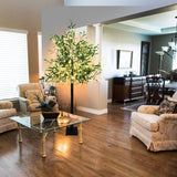 LKGOOD Artificial Lighted Olive Tree 6FT Tall Faux Silk Light Up Plant Trees(with Switch Button) for Home Office Decor Indoor with 300 Warm White Fairy Lights and Lifelike Leaves - Homesidy.com