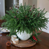 Artificial Christmas Norfolk Pine Stems Branches for Vases,12 Bundles Fake Pine Stems with 2 PCS Small Pinecones Branches Faux Evergreen Real Touch Greenery for Xmas Holiday Winter Table Indoor Decor - Homesidy.com