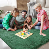 Shag Area Rugs for Bedroom Living Room,4X6 Ultra Soft Fluffy Area Rugs for Dorm, Indoor Carpet Nursery Rugs for Kids Girls Room Home Decor,Pink - Homesidy.com