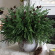 Artificial Christmas Norfolk Pine Stems Branches for Vases,12 Bundles Fake Pine Stems with 2 PCS Small Pinecones Branches Faux Evergreen Real Touch Greenery for Xmas Holiday Winter Table Indoor Decor - Homesidy.com