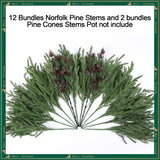 Artificial Christmas Norfolk Pine Stems Branches for Vases,12 Bundles Fake Pine Stems with 2 PCS Small Pinecones Branches Faux Evergreen Real Touch Greenery for Xmas Holiday Winter Table Indoor Decor - Homesidy.com