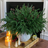 Artificial Christmas Norfolk Pine Stems Branches for Vases,12 Bundles Fake Pine Stems with 2 PCS Small Pinecones Branches Faux Evergreen Real Touch Greenery for Xmas Holiday Winter Table Indoor Decor - Homesidy.com