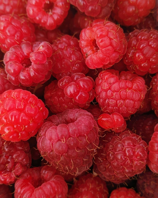 Raspberry Powder - Homesidy.com